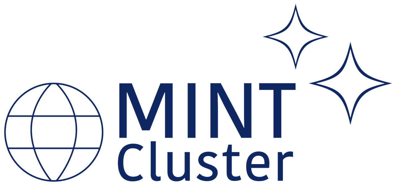 MINT Cluster 